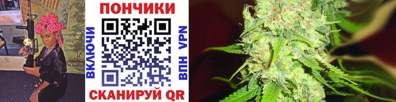 Бошки Шишки гибрид  Купить закладки  Новоуральск 